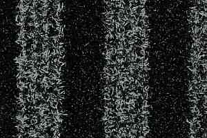 Ковролин Vebe Zebra GP 71 фото  | FLOORDEALER